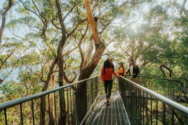 Hiking The Spectacular Tomaree Coastal Walk Blog Nsw National Parks