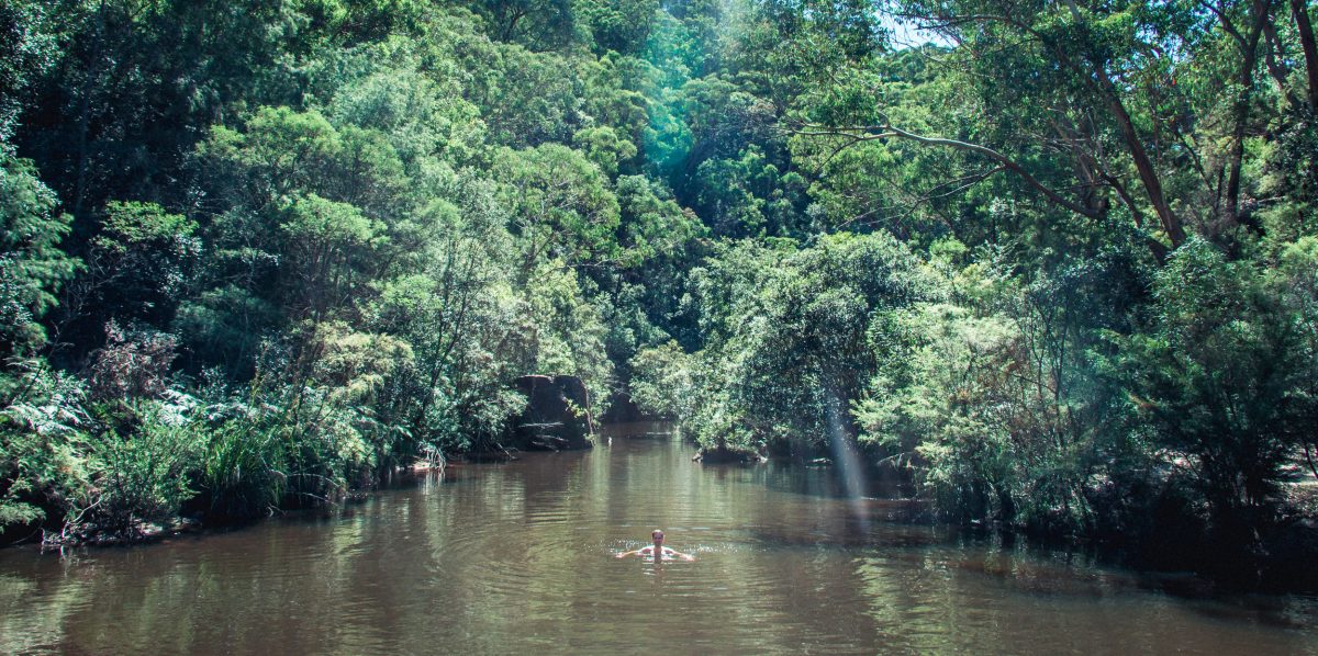 Person swimming at the Blue Pool, Blue Mountains National Park. Photo: Henry Brydon