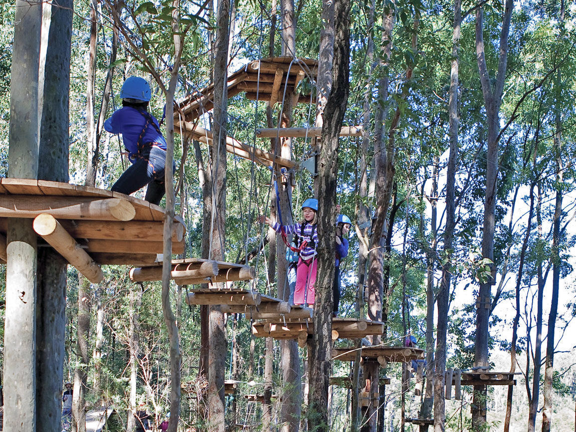 Kids enjoying a ropes and obstacle course at TreeTop Adventure Park, Blue Gum Hills Regional Park. Photo: David Benson/OEH