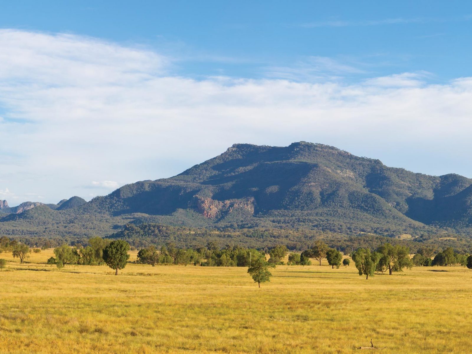 Mountains and plains in Coonabarabran, off Tooraweenah drive in Warrumbungle National Park