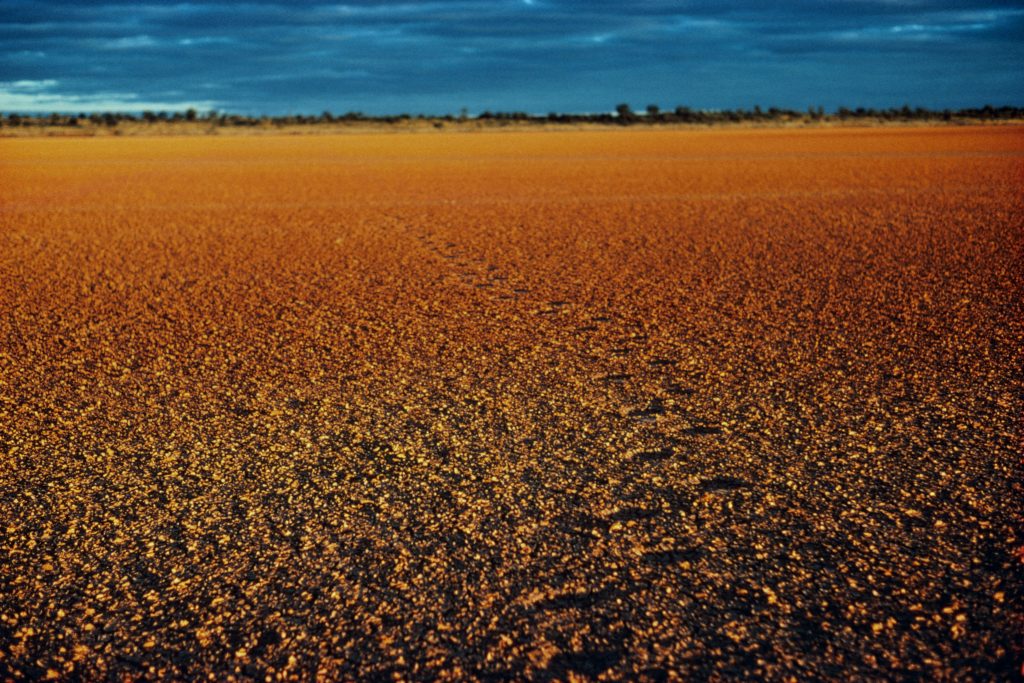 explore-nsw-s-outback-with-a-driving-tour-of-sturt-national-park-blog