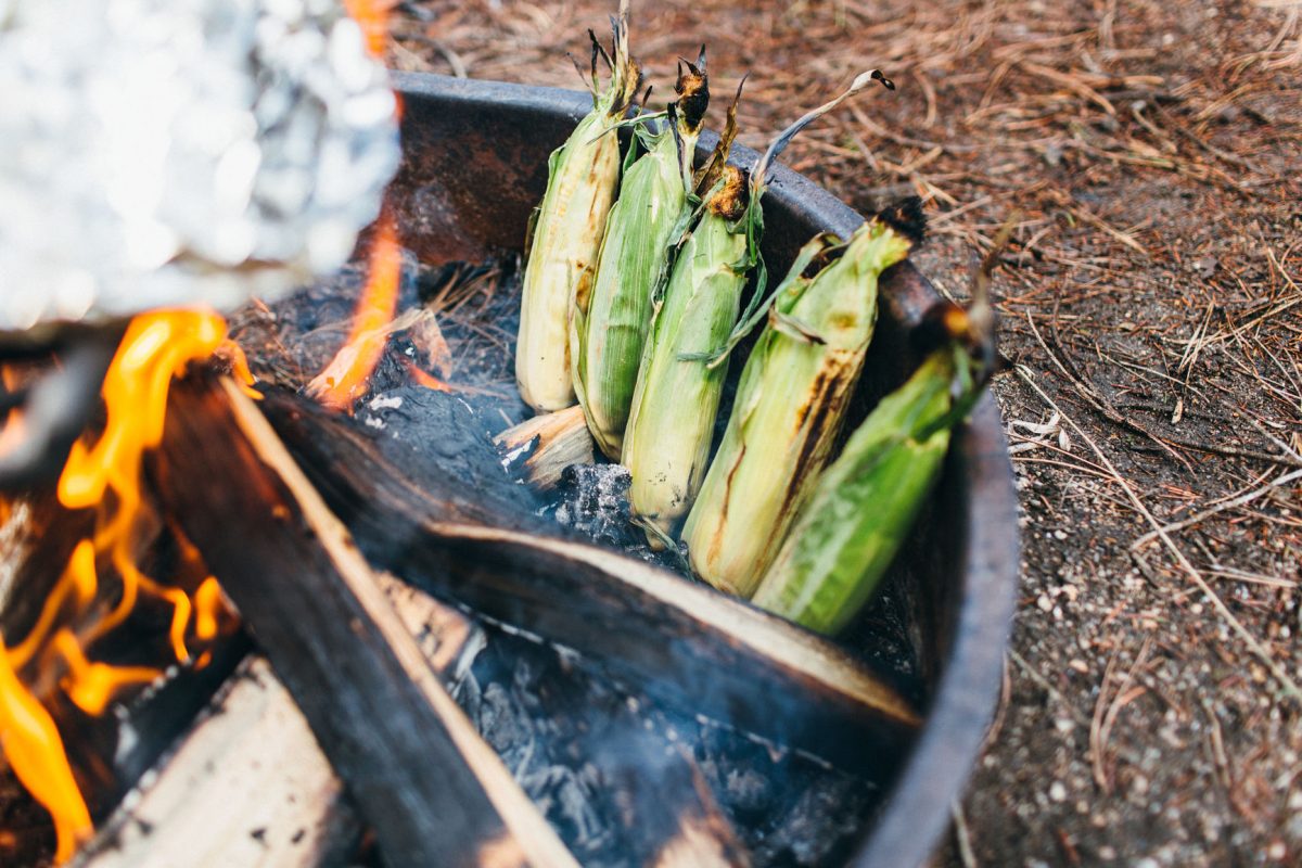 Cobs of corn cooking on a campfire. Photo: Unsplash