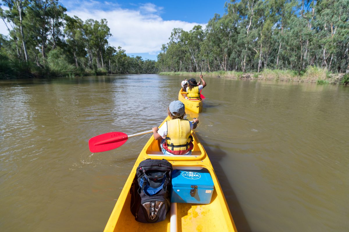 Family in canoes on the Murray River near Barmah and Swifts Creek campground. Photo credit: Boen Ferguson/DPIE