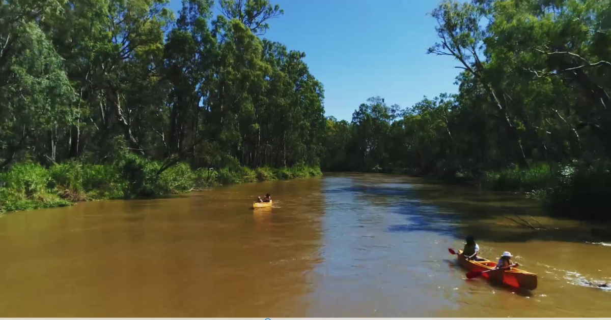 Family canoeing on the Murray River. Photo credit: Daniel Parsons/DPIE