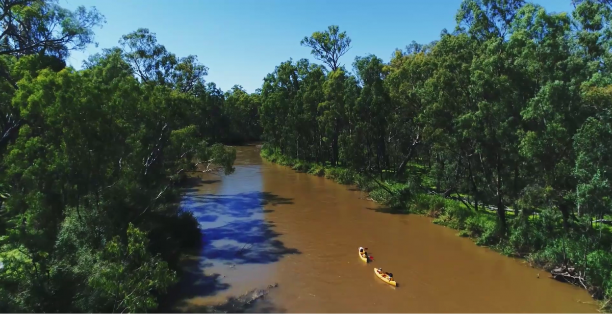 Family canoeing on the Murray River. Photo credit: Daniel Parsons/DPIE