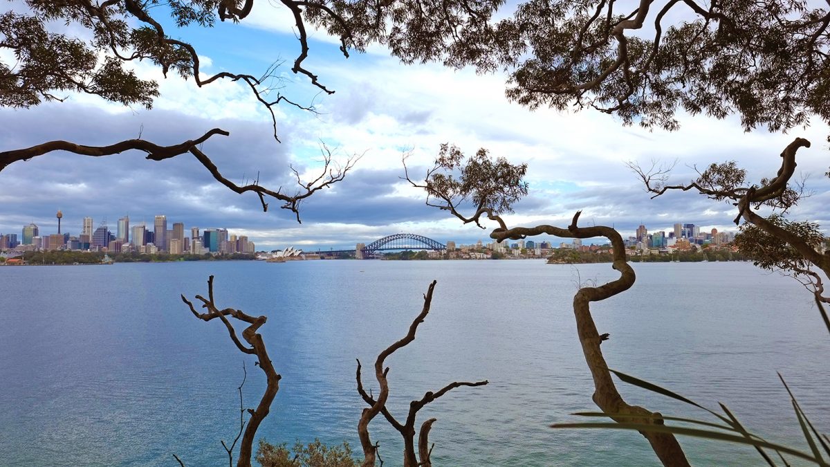 Views of the Sydney CBD from Bradleys Head, Sydney Harbour National Park. Photo: Elinor Sheargold/DPIE