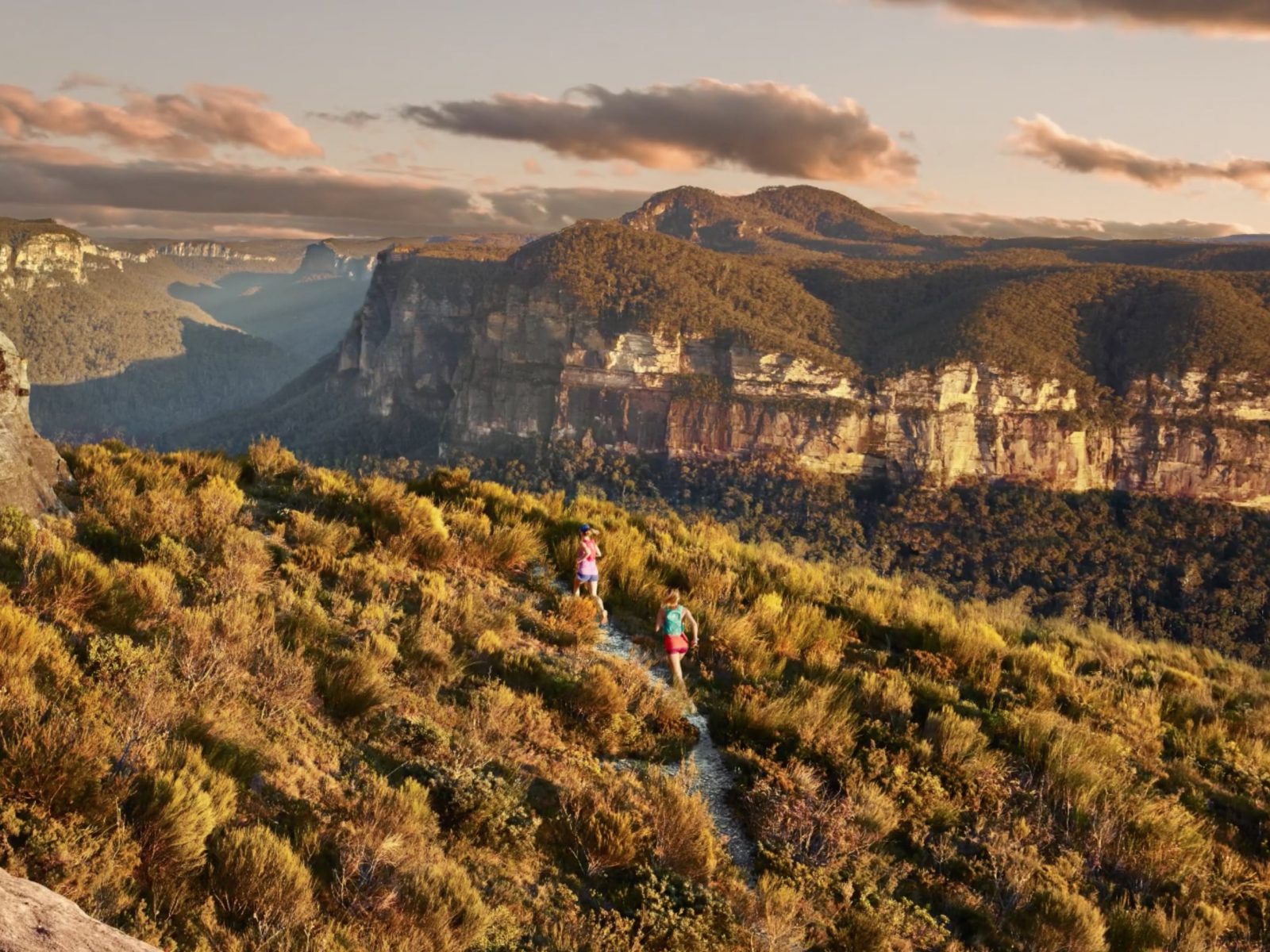 Two people trail running through Blue Mountains National Park. Photo: DPIE