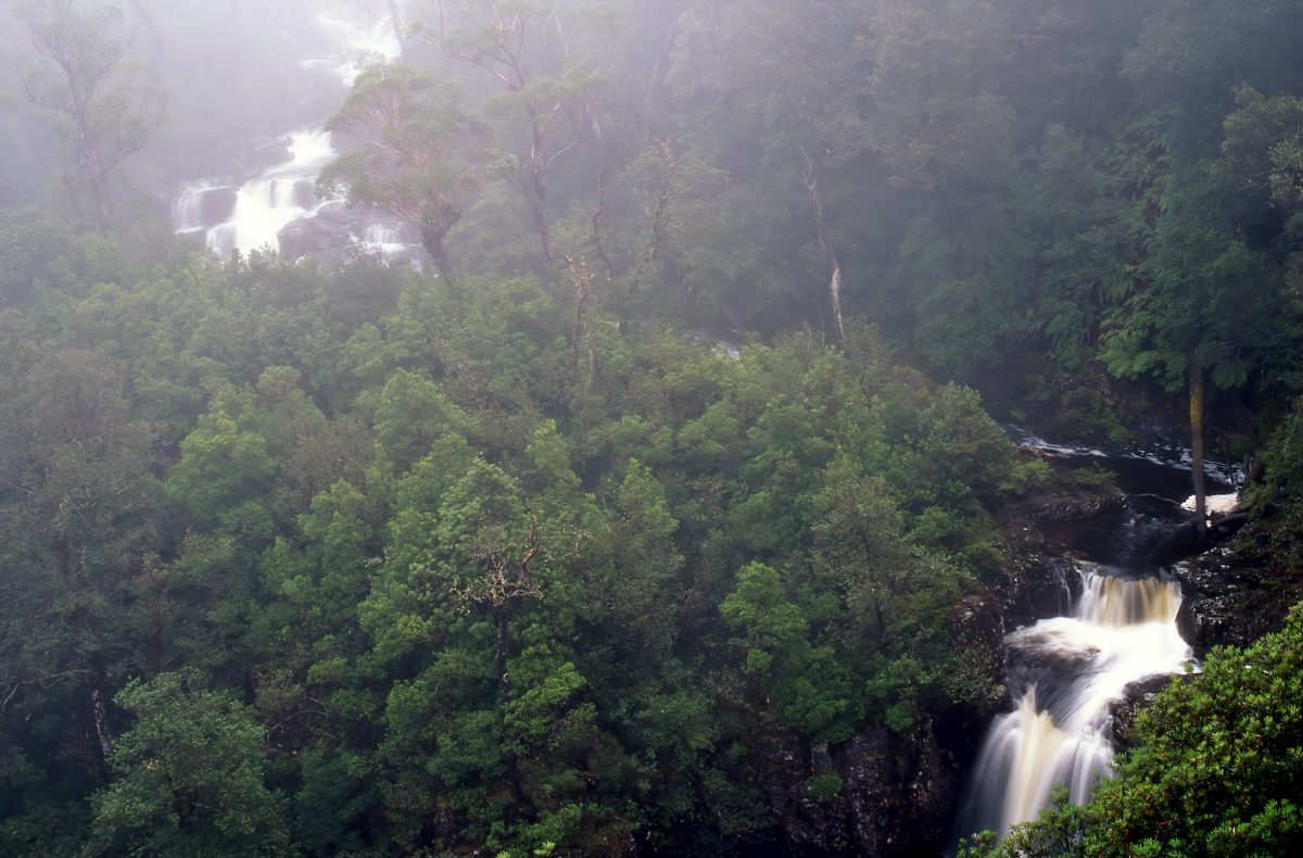 Misty view of the river in Barrington Tops National Park. Photo: Shane Ruming