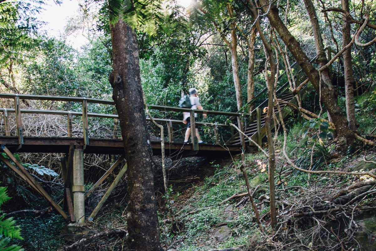 Person walking along a wooden bridge in a NSW national park. Photo: Jack Bussell
