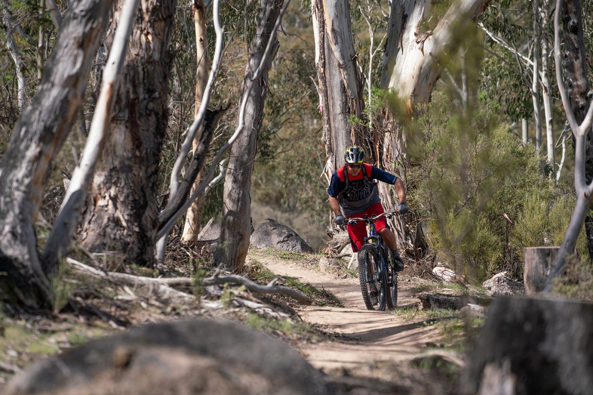 A person riding on the lower thredbo valley track