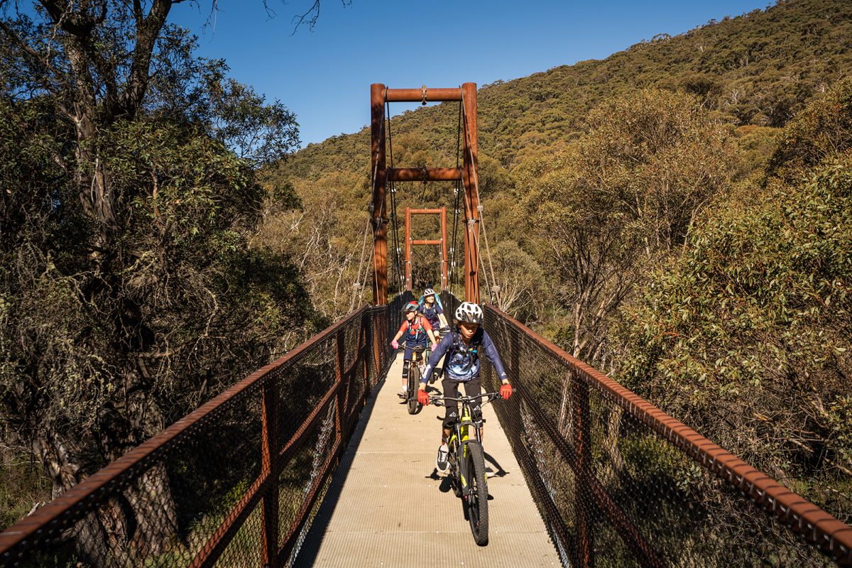 Face on view of people cycling across a bridge on Thredbo Valley track, Thredbo-Perisher area in Kosciuszko National Park. Photo: Rob Mulally/DPIE