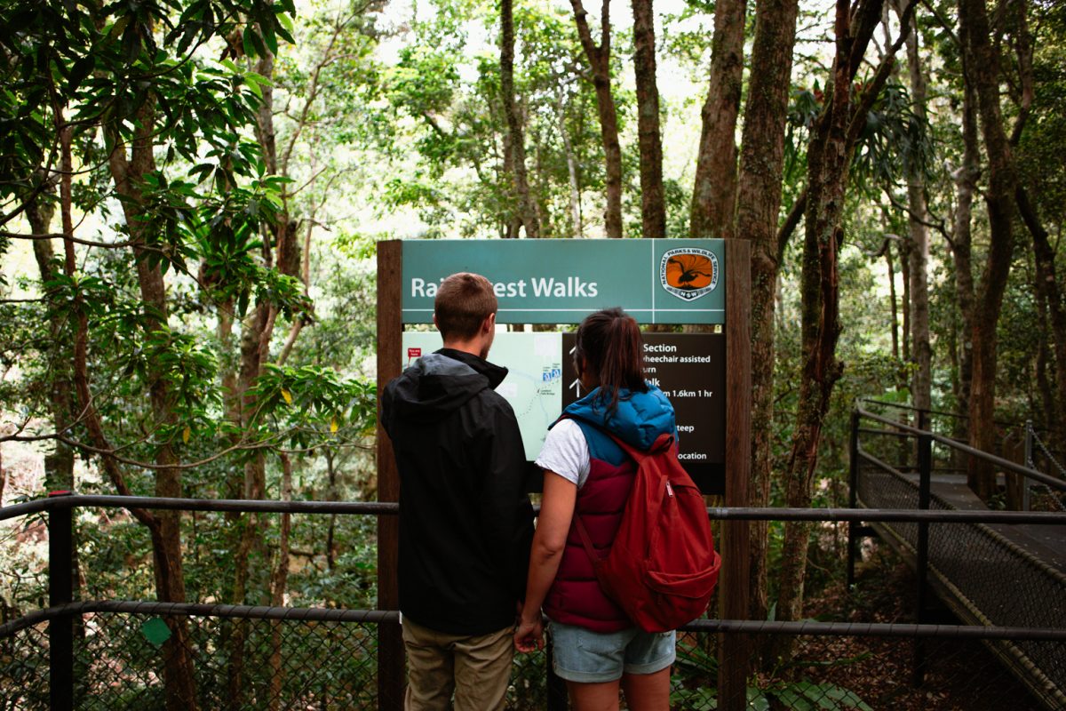 Two people looking at directions on The Falls walk, Budderoo National Park. Photo: Tim Clark