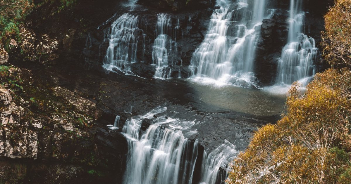 Waterfall in Dorrigo National Park. Photo credit: Branden Bodman/DPIE