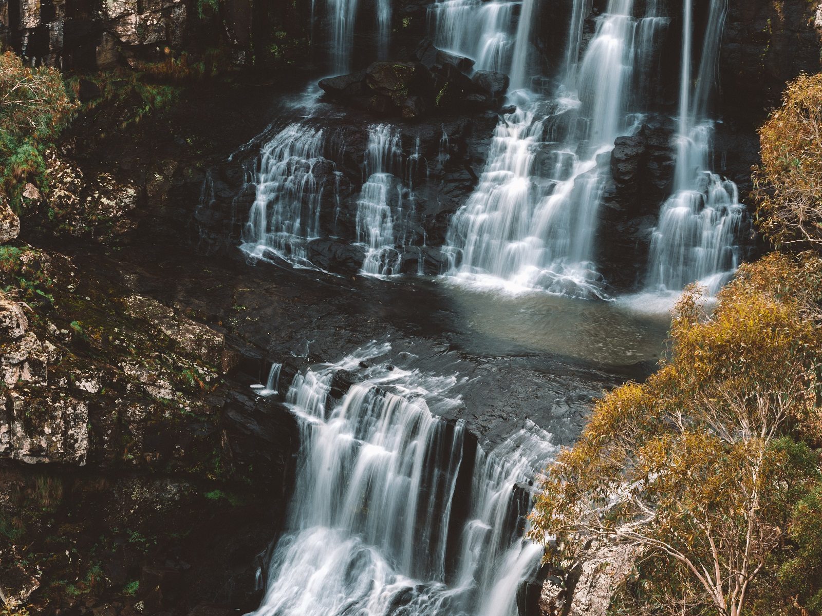 Waterfall in Dorrigo National Park. Photo: Branden Bodman/DPIE