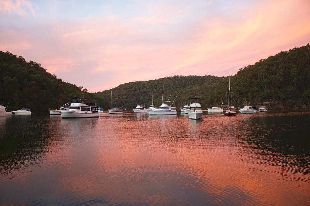 Sunset view of Apple Tree picnic area in Ku-ring-gai Chase National Park. Photo: Instagram @glivett