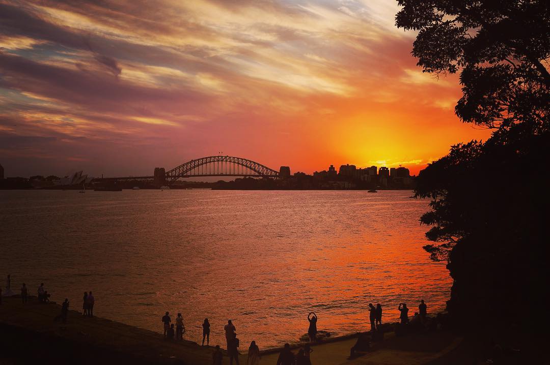 Sunset view of Sydney Harbour from Bradleys Head, Sydney Harbour National Park. Photo: Instagram @lanecovetdream
