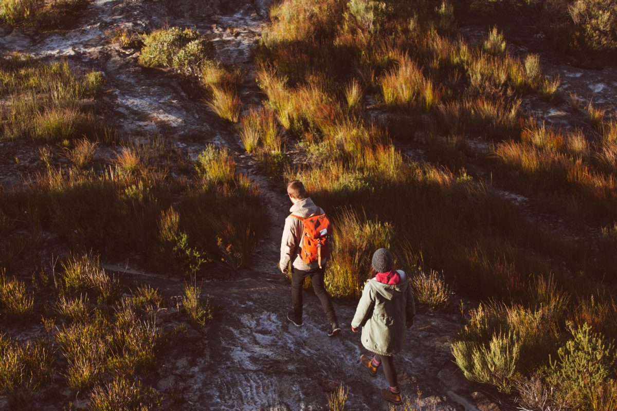 Two people hiking in Blue Mountains National Park. Photo: Tim Clark