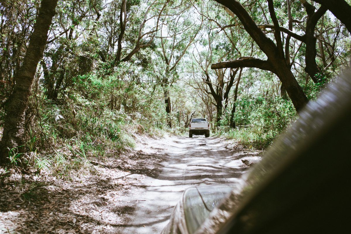 4WDing on an unsealed road through a NSW national park. Photo: Tim Clark
