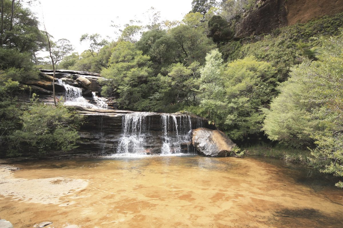 Wentworth Falls walking track, Blue Mountains National Park
