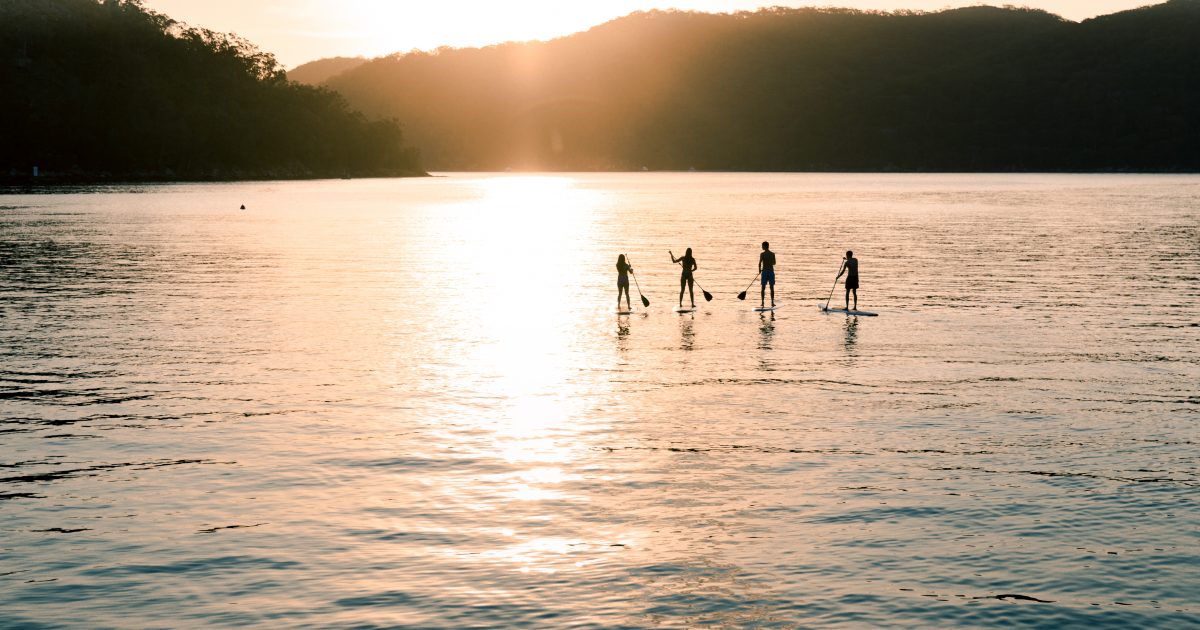 Four people stand-up paddleboarding at The Basin, Ku-ring-gai Chase National Park. Photo credit: Tim Clark / DPE