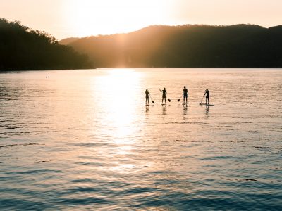 Four people stand-up paddleboarding at The Basin, Ku-ring-gai Chase National Park. Photo: Tim Clark