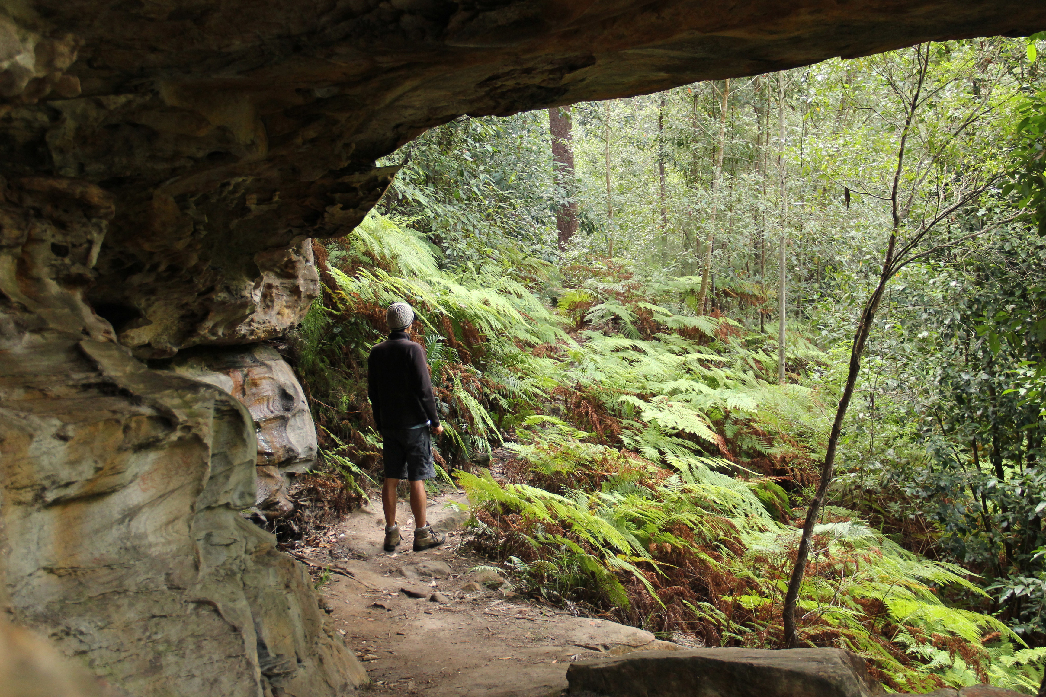 Male on a track near overhanging rock formation viewing the bushland in Dharug National Park. Photo: John Yurasek/DPIE