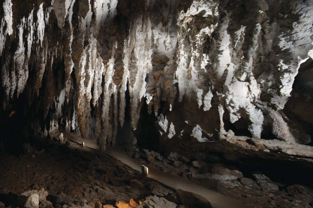 North Glory Cave, Yarrangobilly Caves, Kosciuszko National Park. Photo: Murray Vanderveer/DPIE