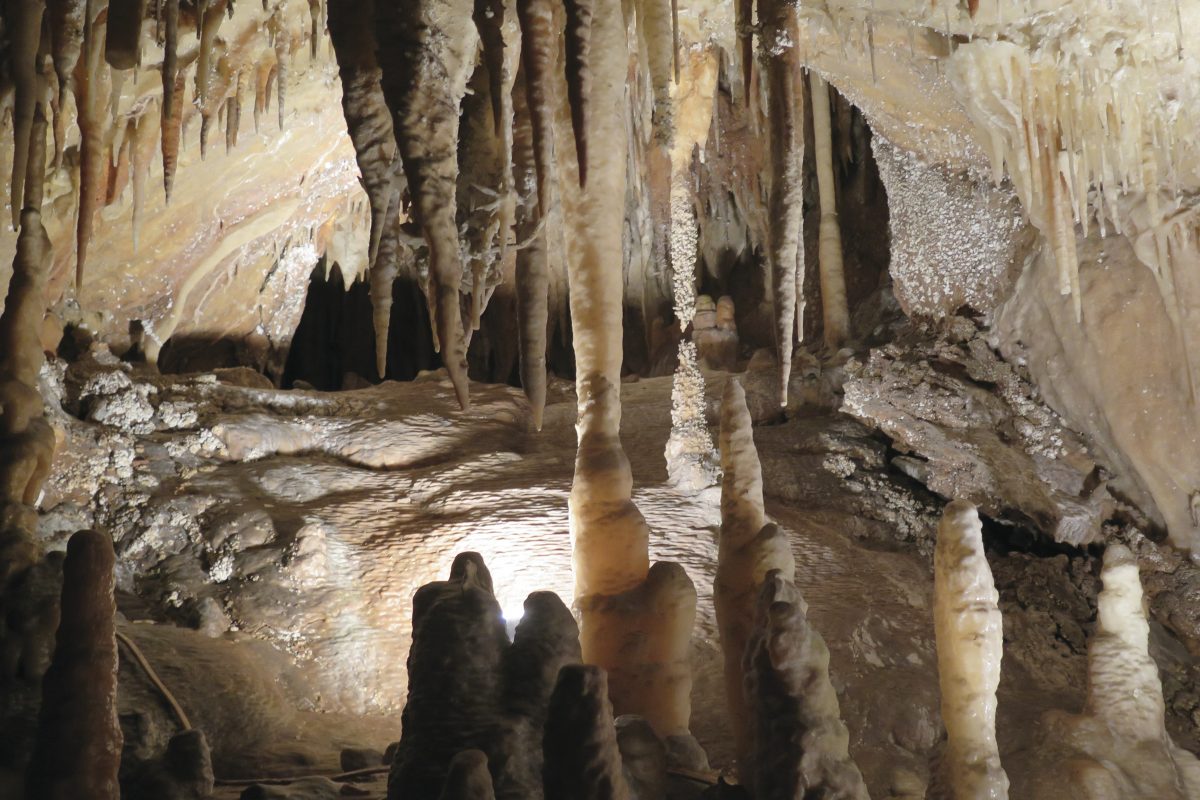 Jillabenan Cave, Yarrangobilly Caves, Kosciuszko National Park. Photo: Elinor Sheargold/DPIE