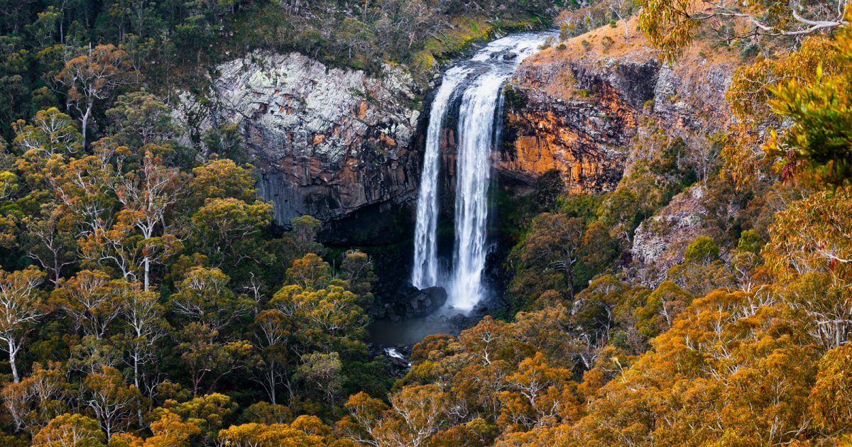 Ebor Falls in Guy Fawkes River National Park. Photo: Liam Hardy