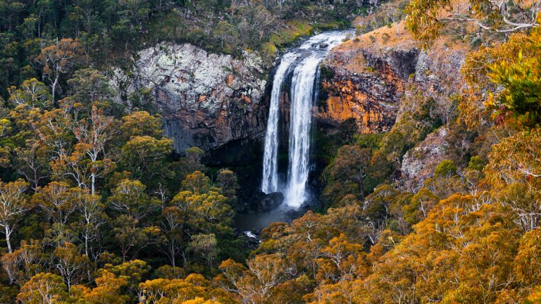 The ultimate guide to Waterfall Way | Blog - NSW National Parks