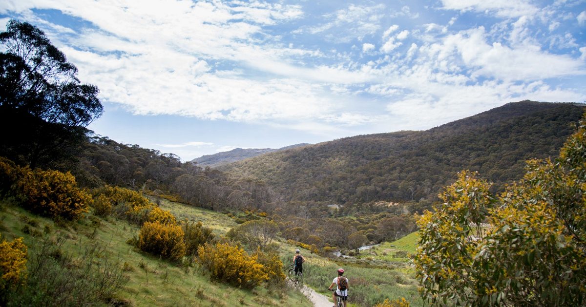 Two people on bikes on a bike trial on the Thredbo Valley track in Kosciuszko National Park. Photo credit: Boen Ferguson/DPIE