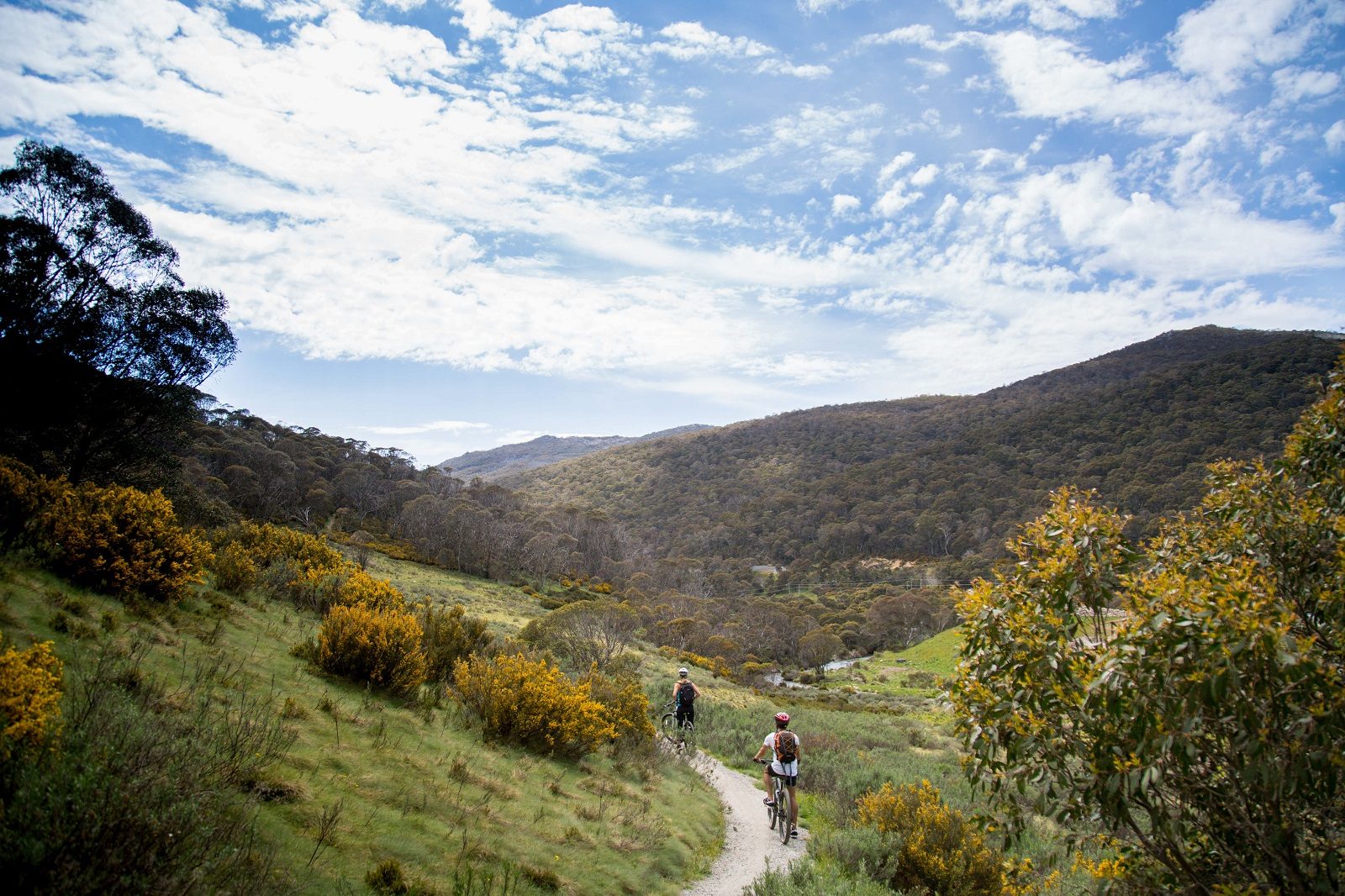 Two people on bikes on a bike trial on the Thredbo Valley track in Kosciuszko National Park. Photo credit: Boen Ferguson/DPIE