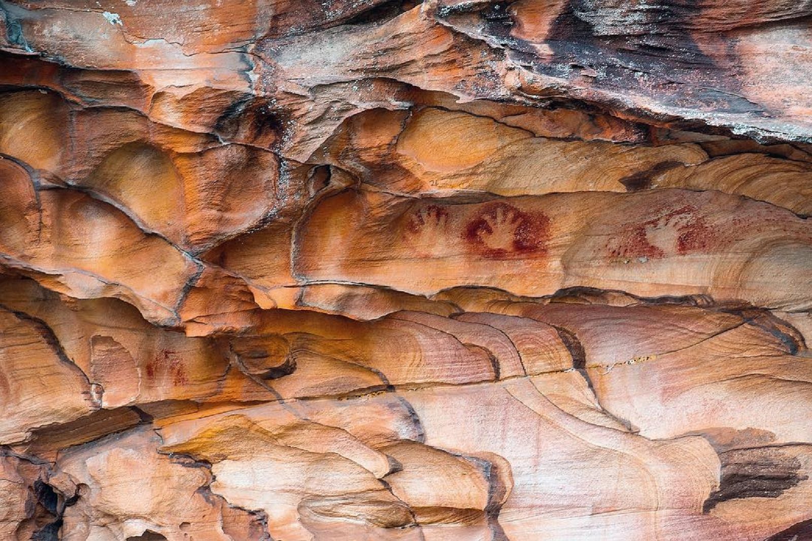 Red Hands Cave walking track in Ku-ring-gai Chase National Park. Photo: Instagram @between.the.seas