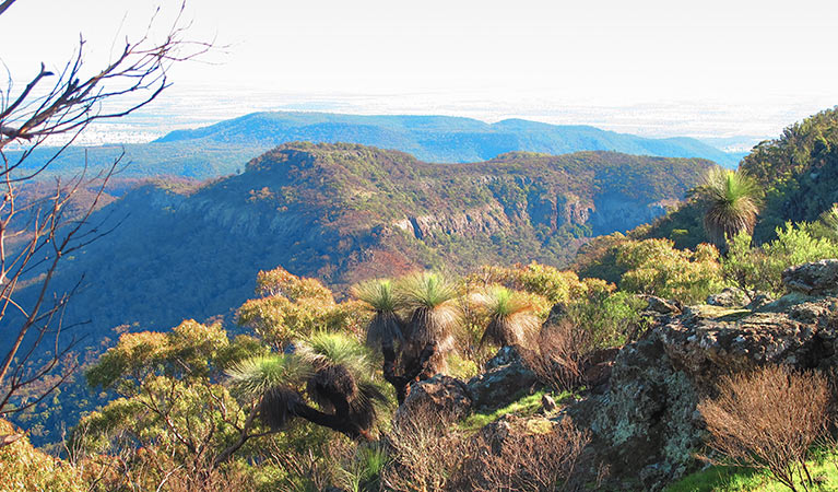 Scenic views from Mount Exmouth walking track in Warrumbungle National Park. Photo credit: Sue Brookhouse/DPIE