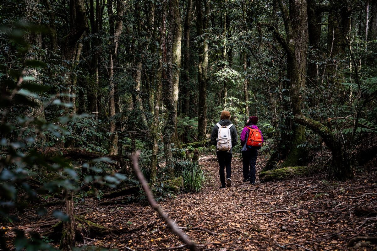 Two people walking through Barrington Tops National Park. Photo credit: Rob Mulally/DPIE