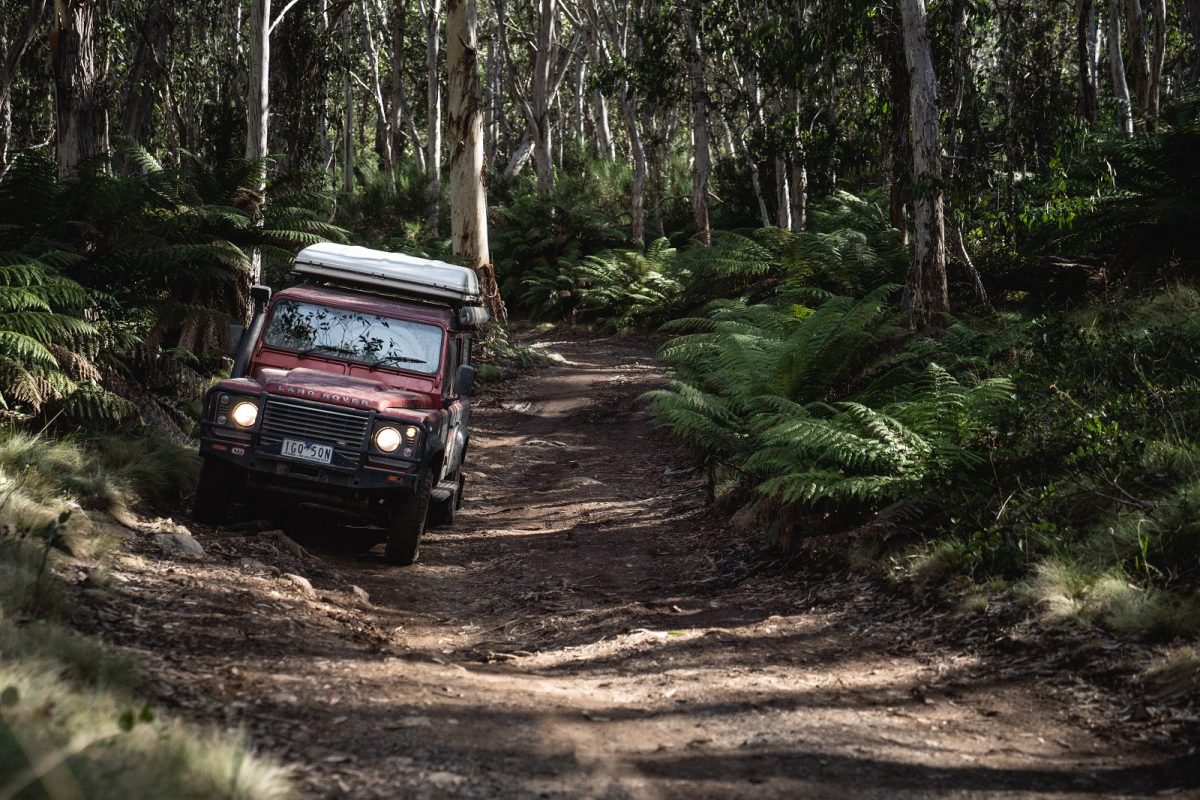 4WD on Barrington trail in Barrington Tops National Park. Photo credit: Rob Mulally/DPIE