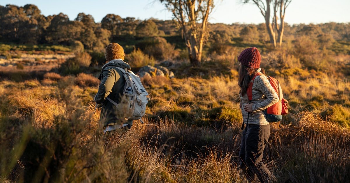 People hiking through Barrington Tops National Park. Photo: Rob Mulally/DPIE