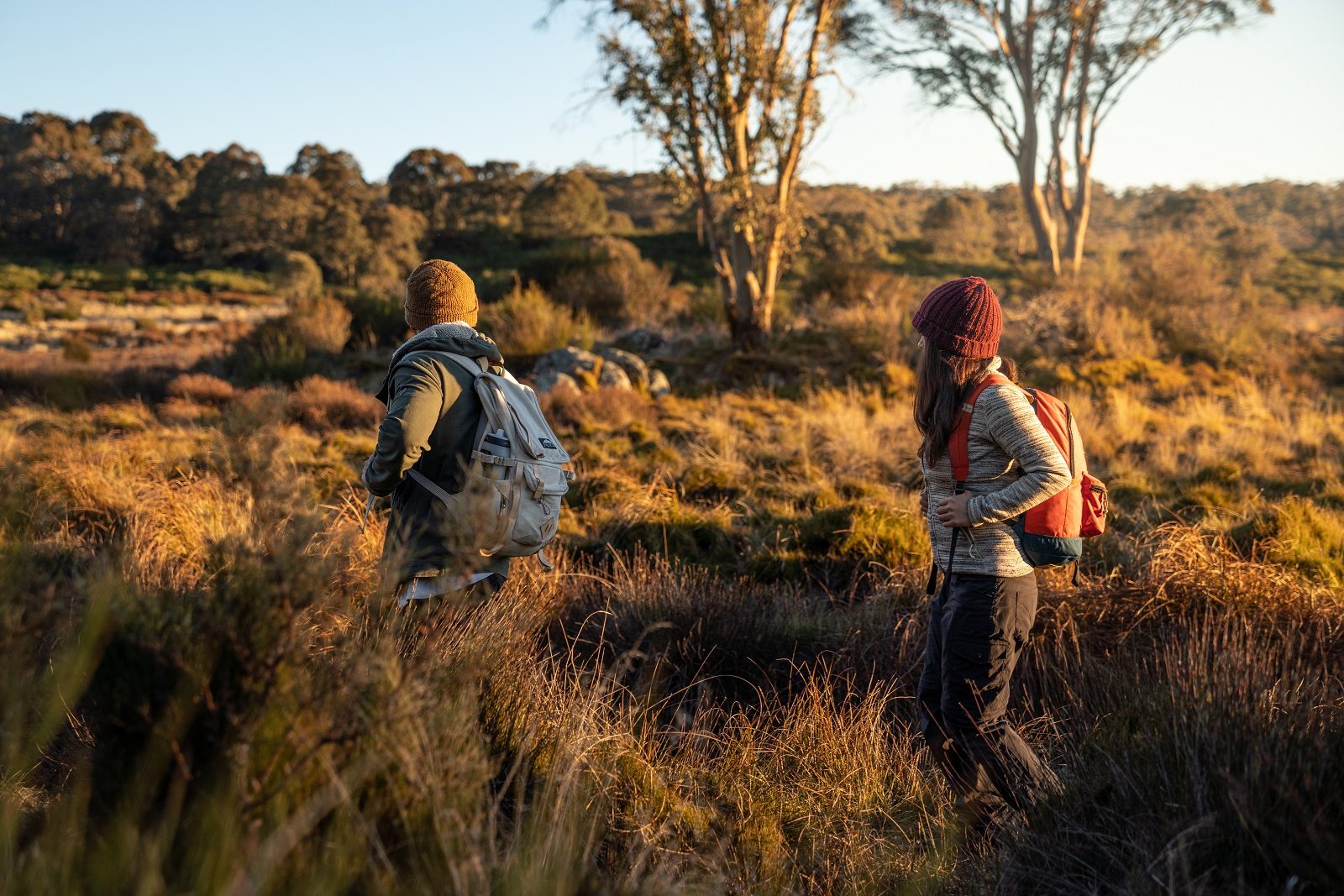 People hiking through Barrington Tops National Park. Photo credit: Rob Mulally/DPIE