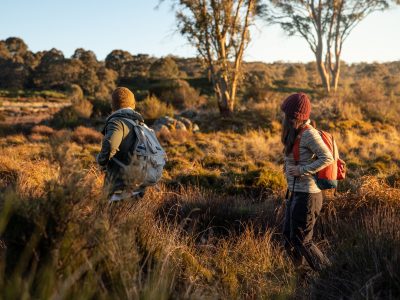 People hiking through Barrington Tops National Park. Photo: Rob Mulally/DPIE