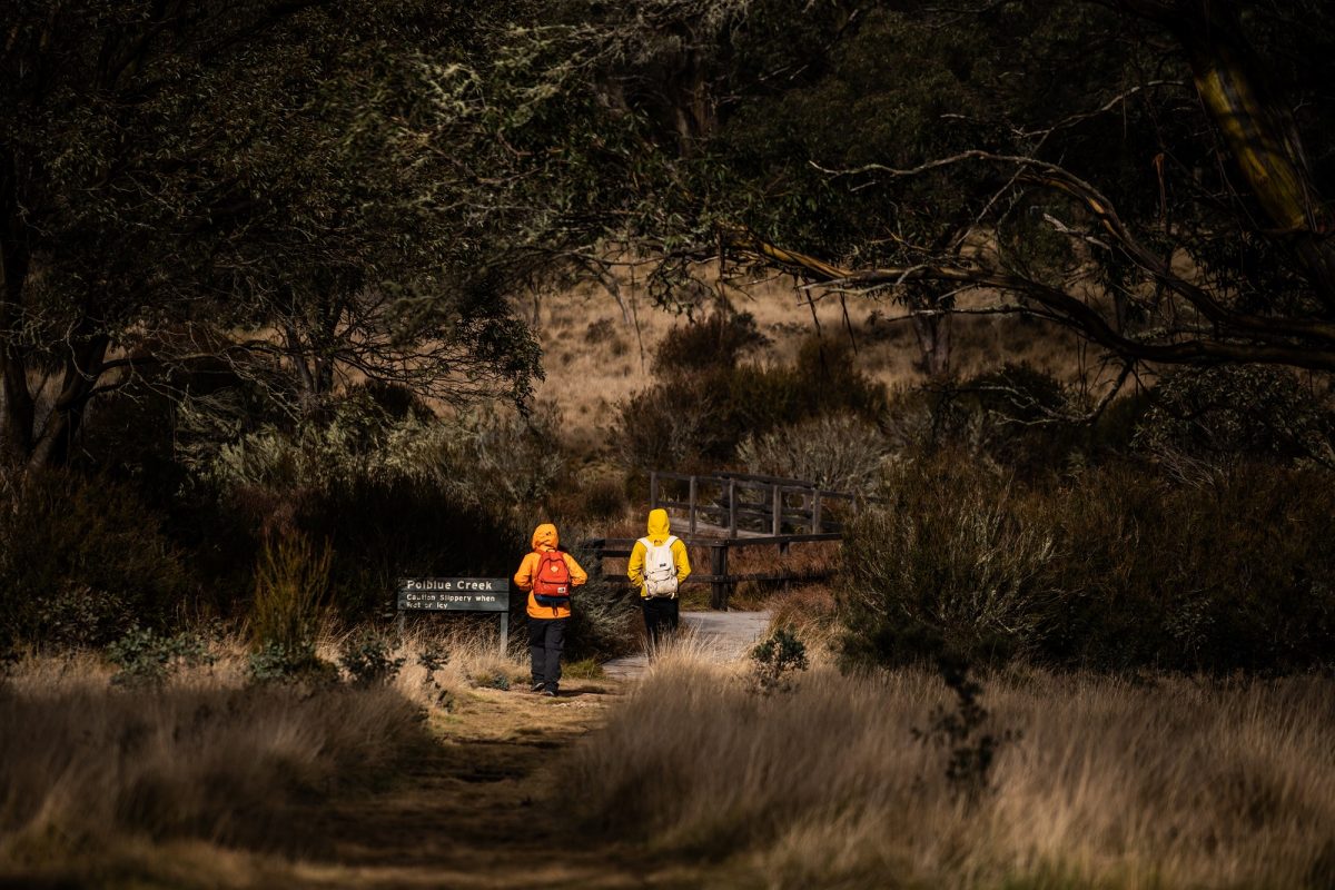 People walking through Polblue campground and picnic area in Barrington Tops National Park. Photo credit: Rob Mulally/DPIE