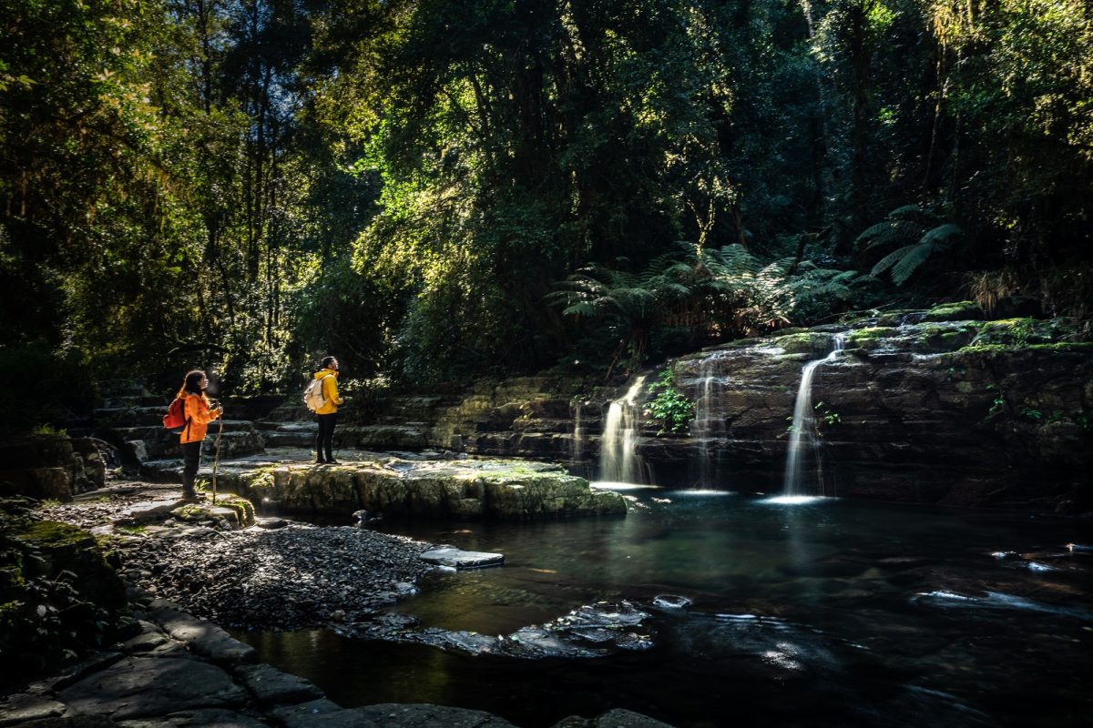 Hikers stopping on Rocky Crossing walk in Barrington Tops National Park. Photo credit: Rob Mulally/DPIE
