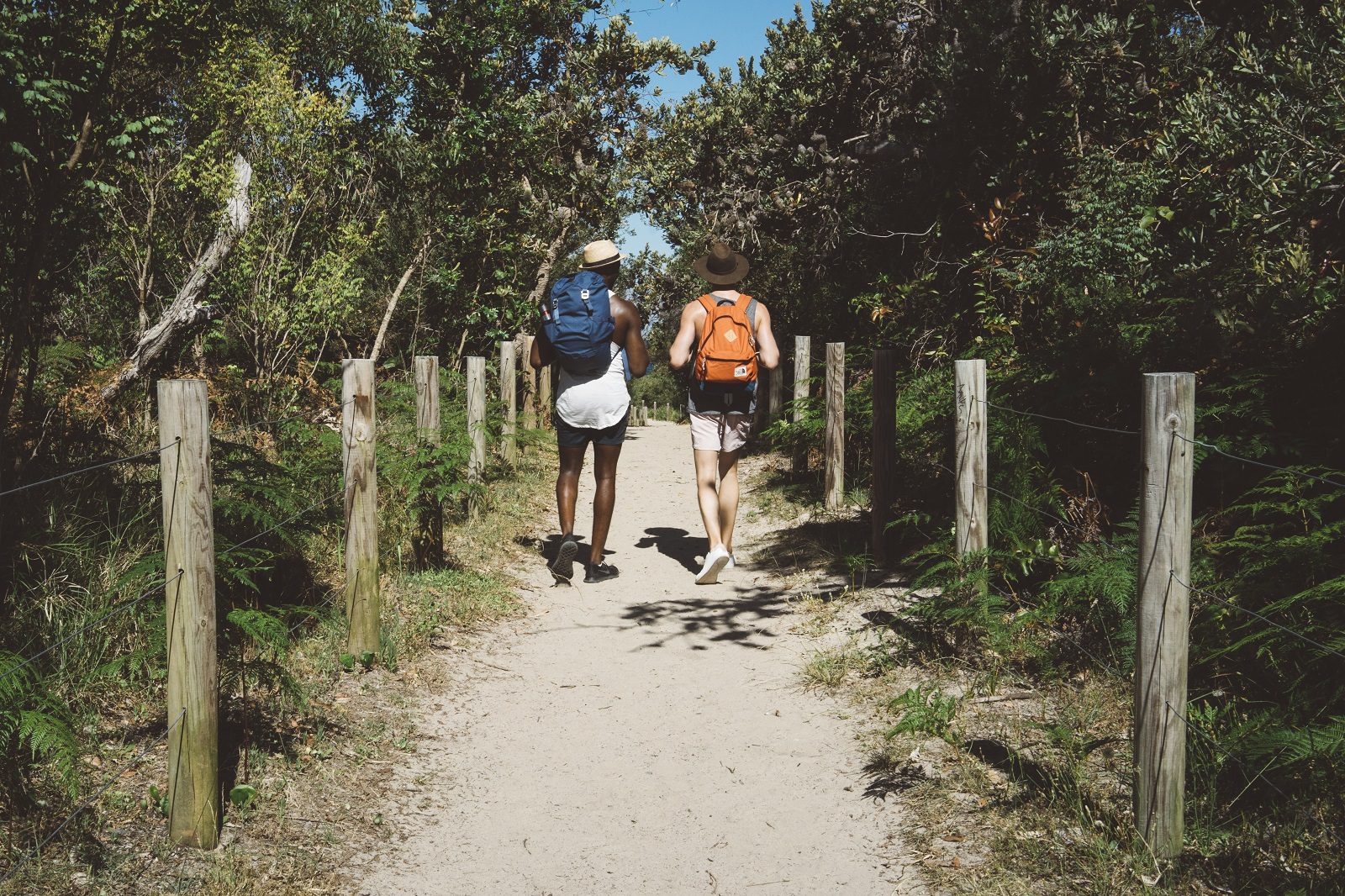 Two guys walking down a track towards the beach in Tomaree National Park. Photo: Erin McGauley/DPIE