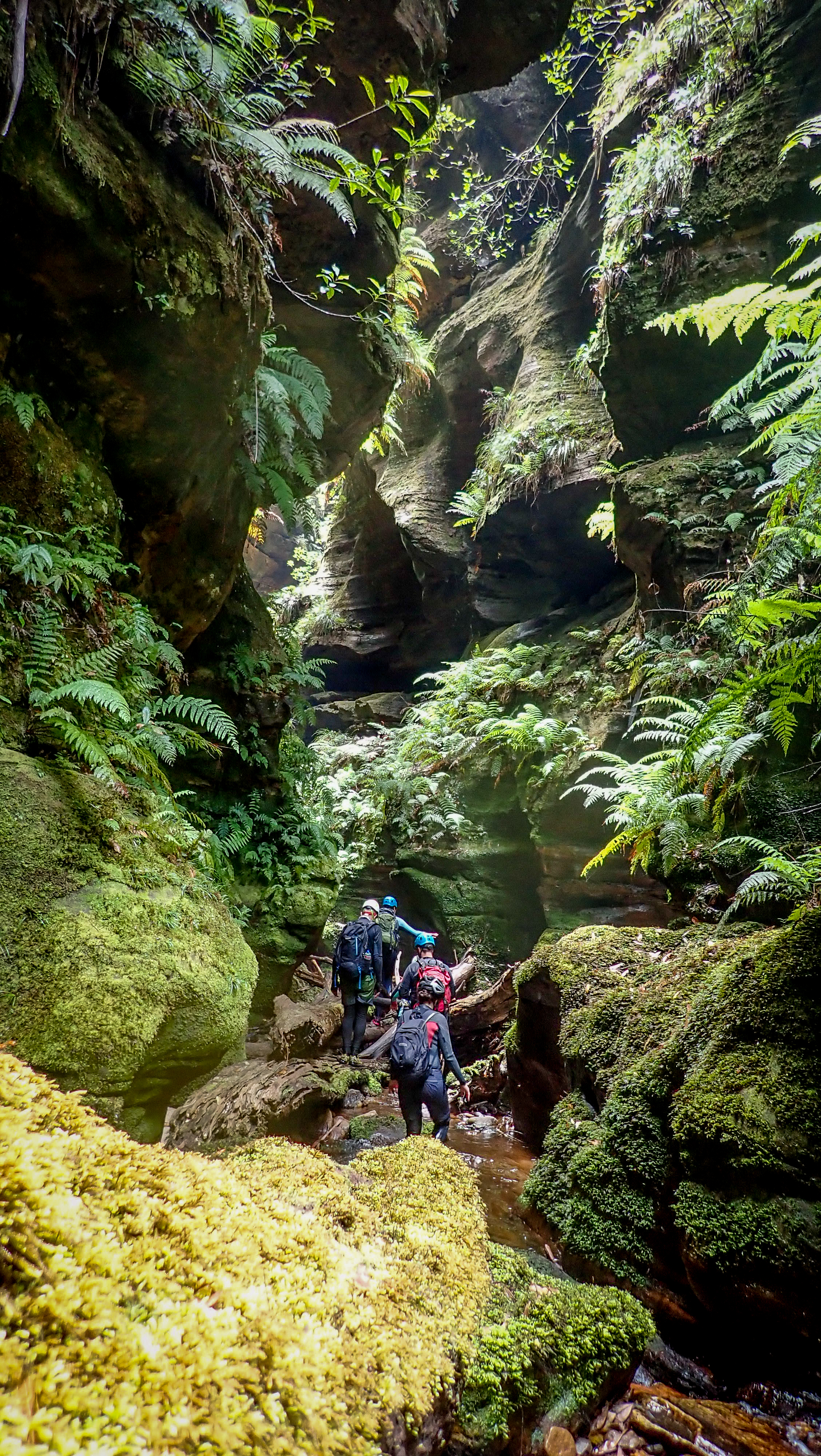 Group of people guided through upper Blue Mountains canyon. Photo: Caro Ryan
