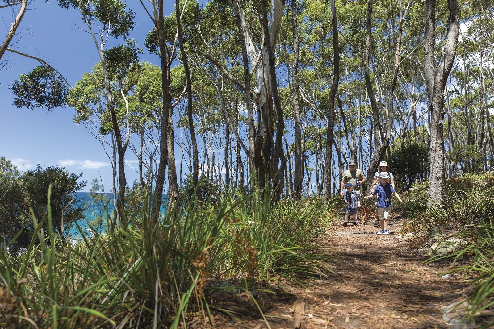 Family of four walking along a track in Jervis Bay National Park. Photo: David Finnegan/DPIE