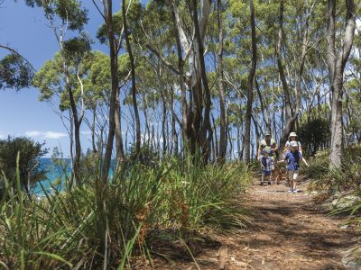 Family of four walking along a track in Jervis Bay National Park. Photo: David Finnegan/DPIE