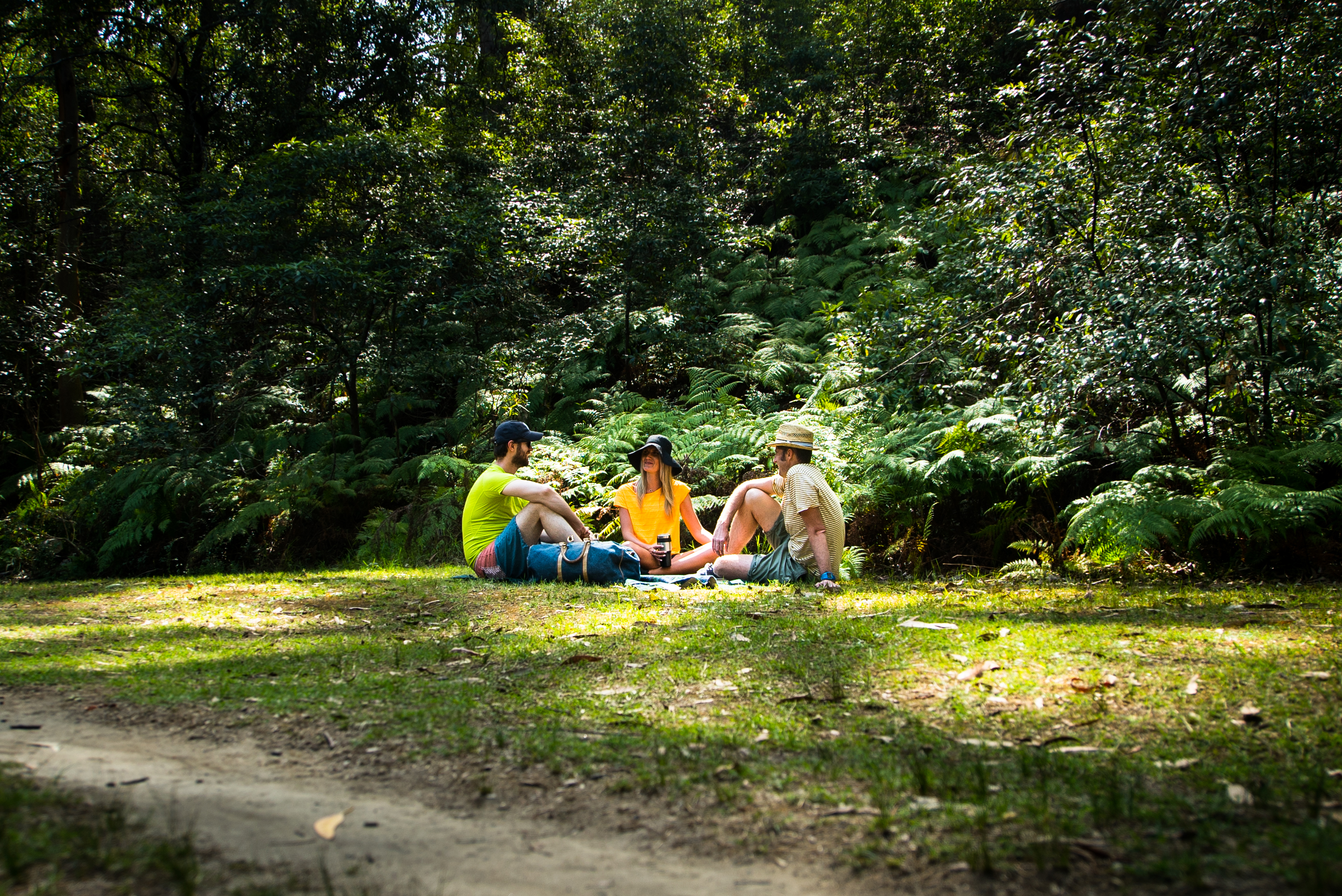 Three people having a picnic in a NSW national park. Photo: Daniel Parsons/DPIE