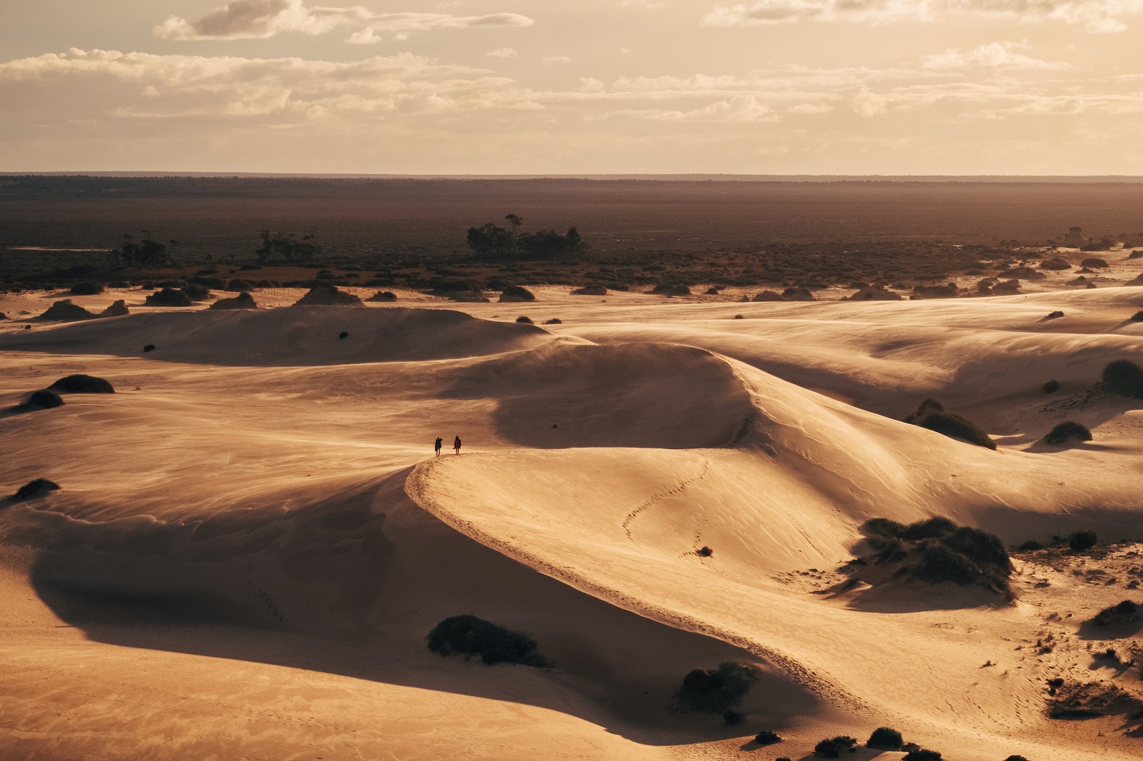 Sand dunes in Mungo National Park. Photo credit: Melissa Findley/DPIE