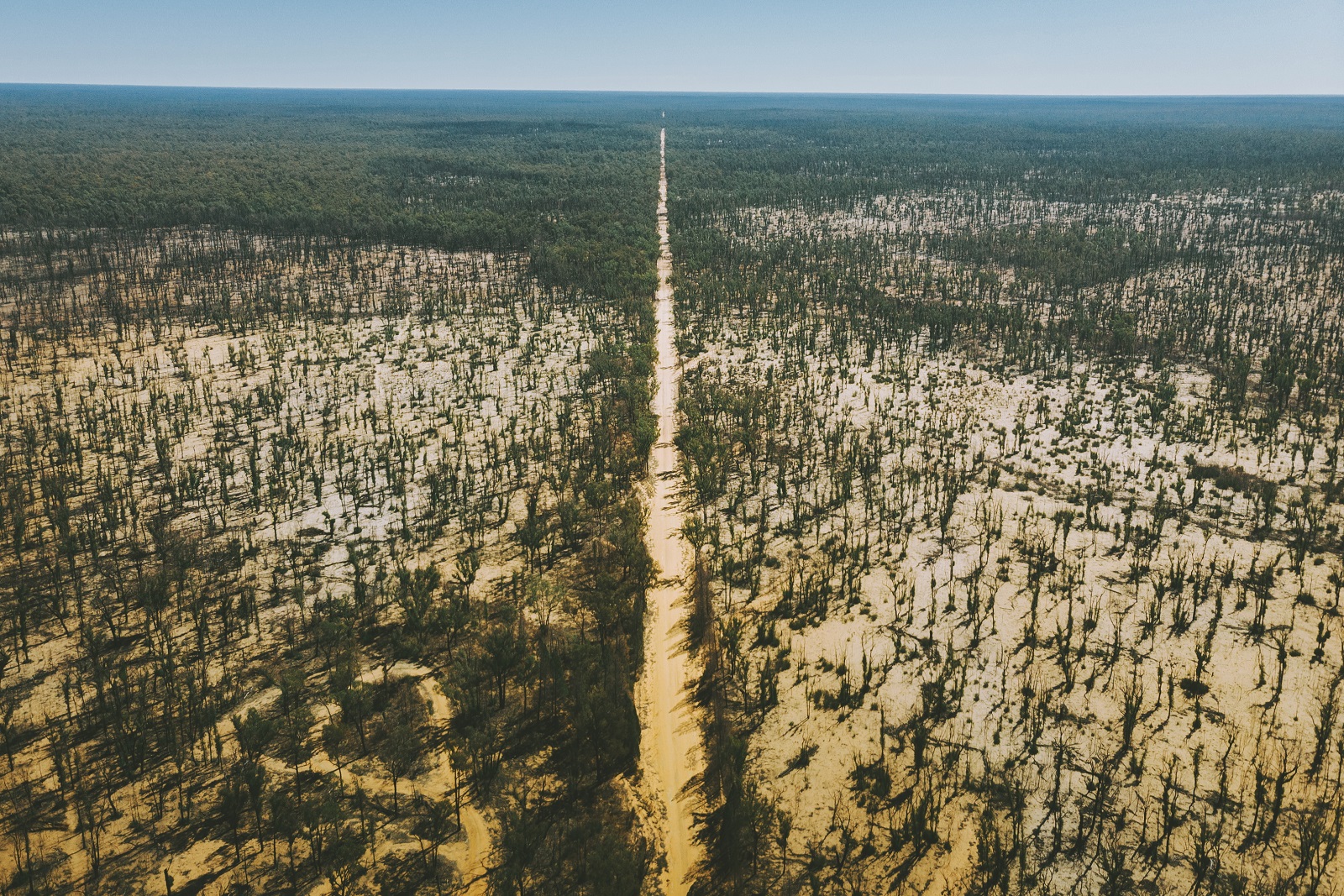 Aerial view of the road at Timmallallie National Park. Photo credit: Harrison Candlin/DPIE