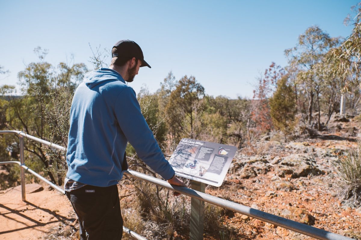 Pilliga lookout tower in Timmallallie National Park. Photo credit: Harrison Candlin/DPIE