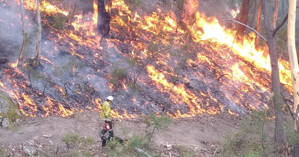 NPWS firefighter conducting planned controlled burning to assist in the protection of life, property and community. Photo credit: David Croft/DPIE